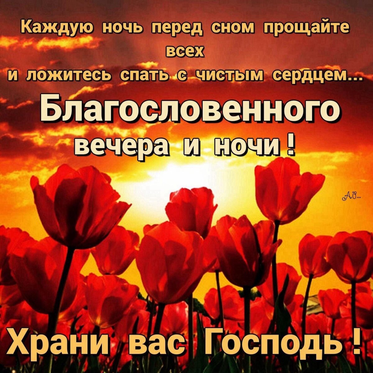 Спокойной благословенной ночи