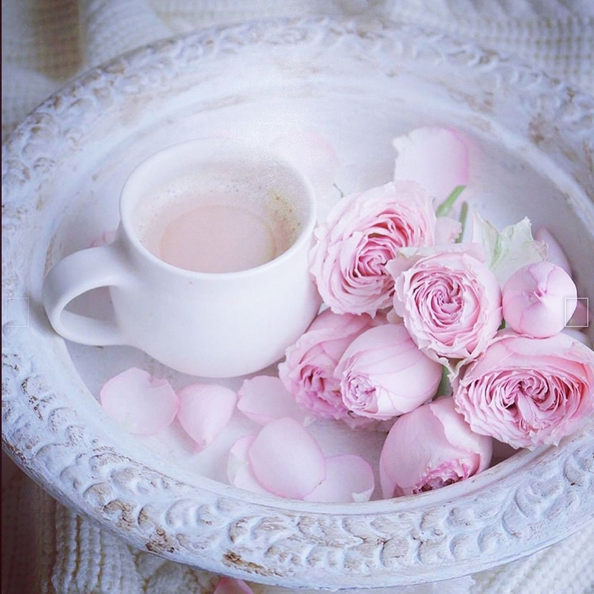 Нежное розовое утро