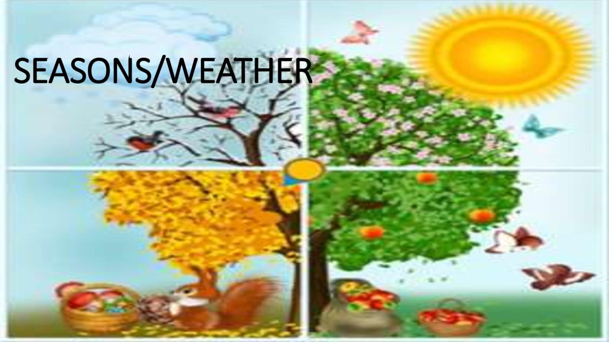 Угадай время года