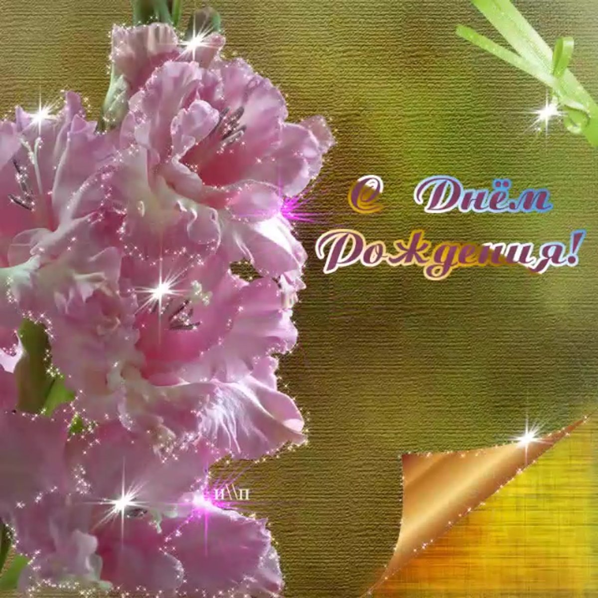 Вера Надежда любовь праздник гифки