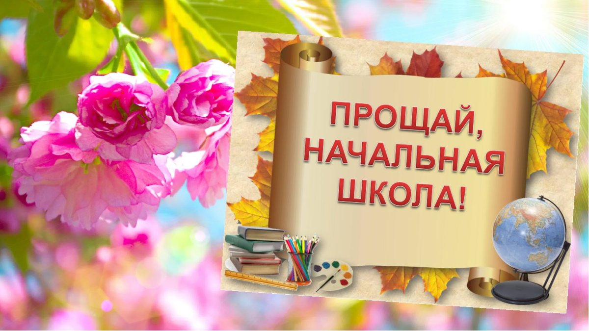 Прощай начальная школа картинки