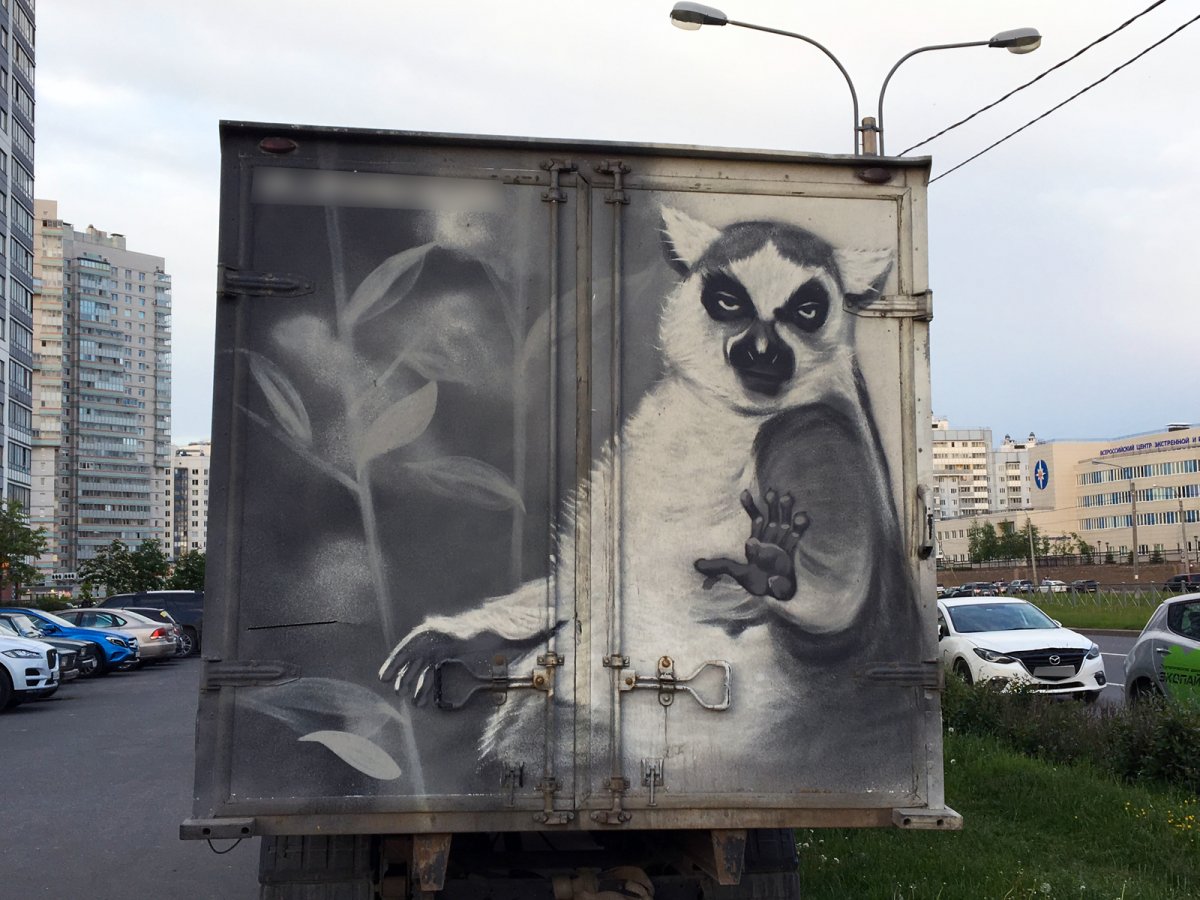 Фото газели карикатуры