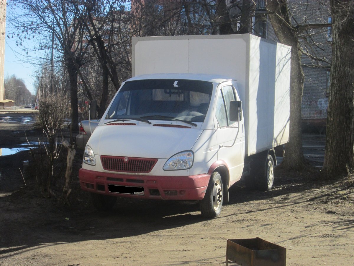 Смешная газелька