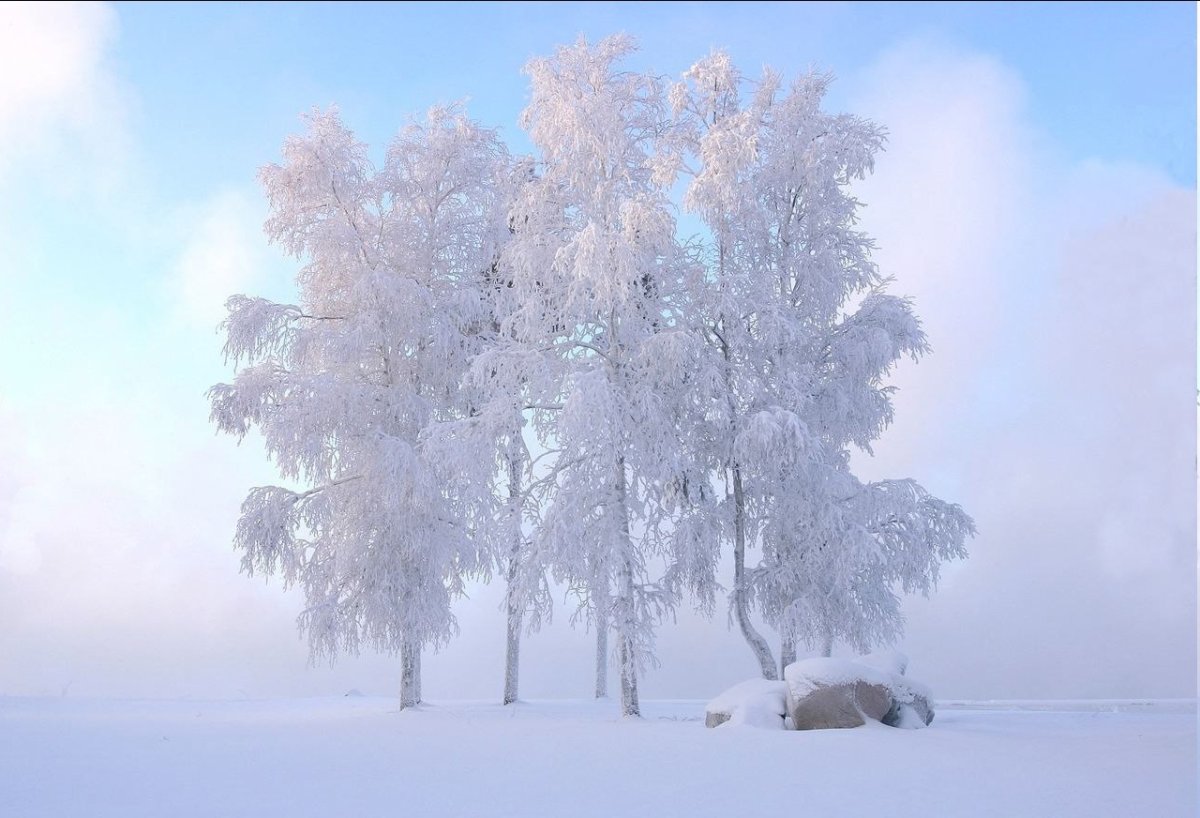 Сургут климат