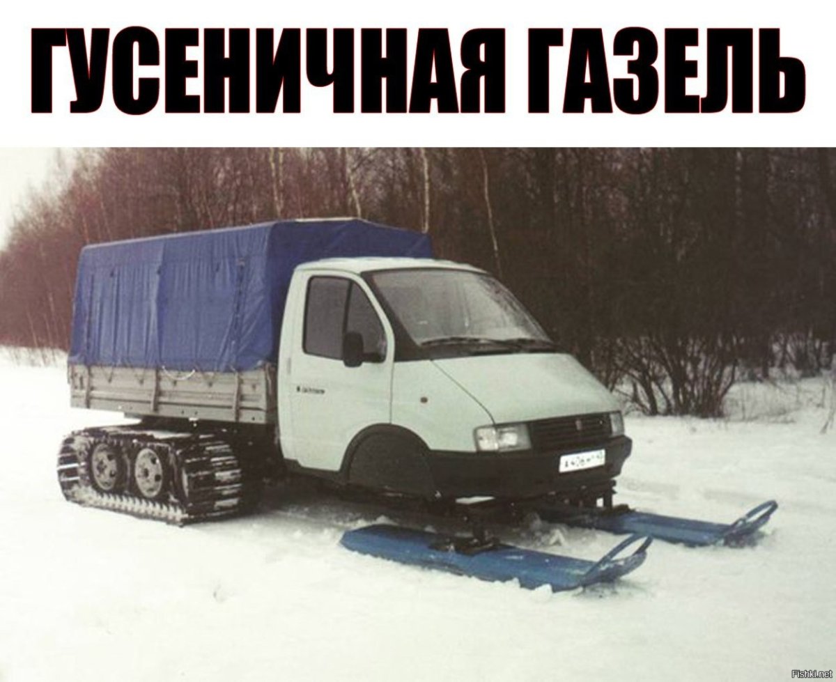 Смешные надписи на газелях