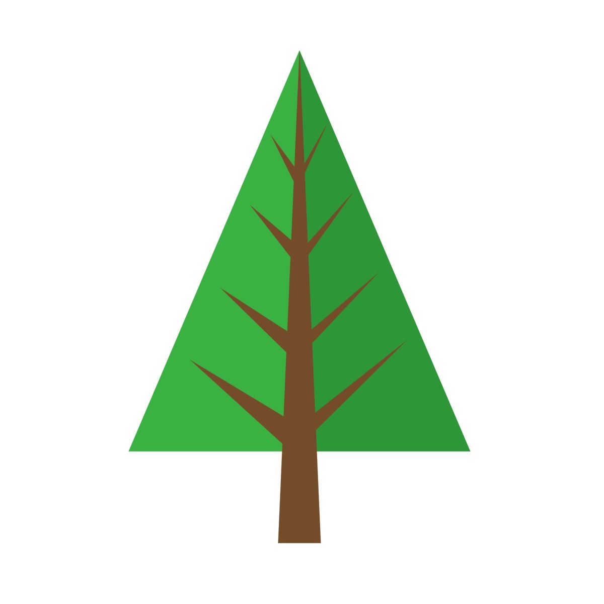 Ель на прозрачном фоне