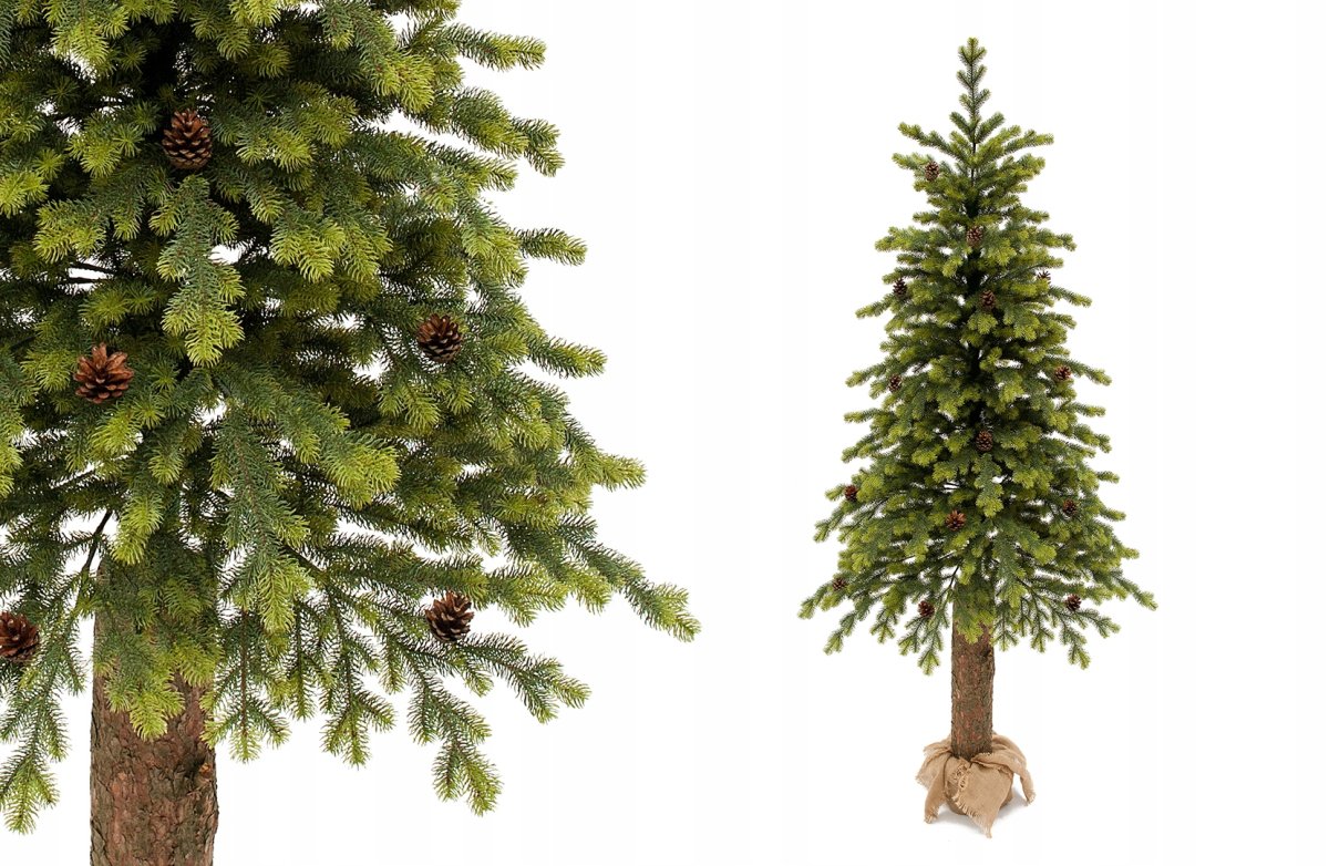 Еловая, Пихтовая, Сосновая лапы