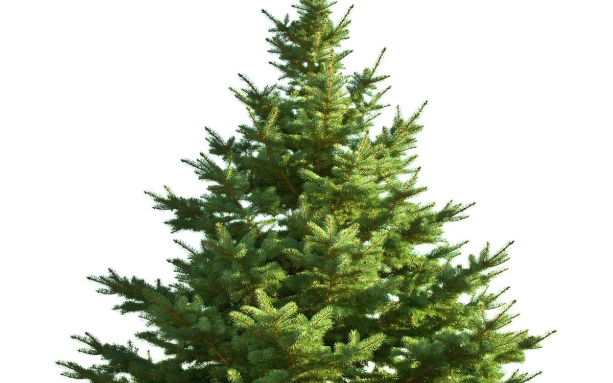 Смайлик елочка