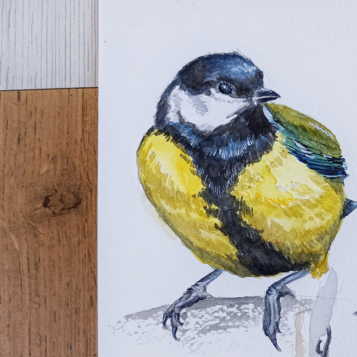 Синица Благовещенск