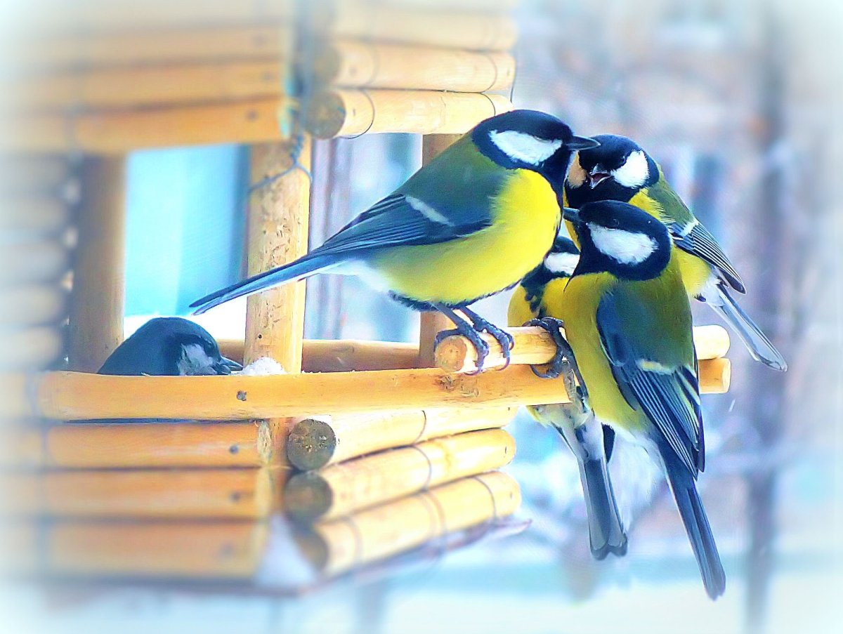 Кормушка "синичка"