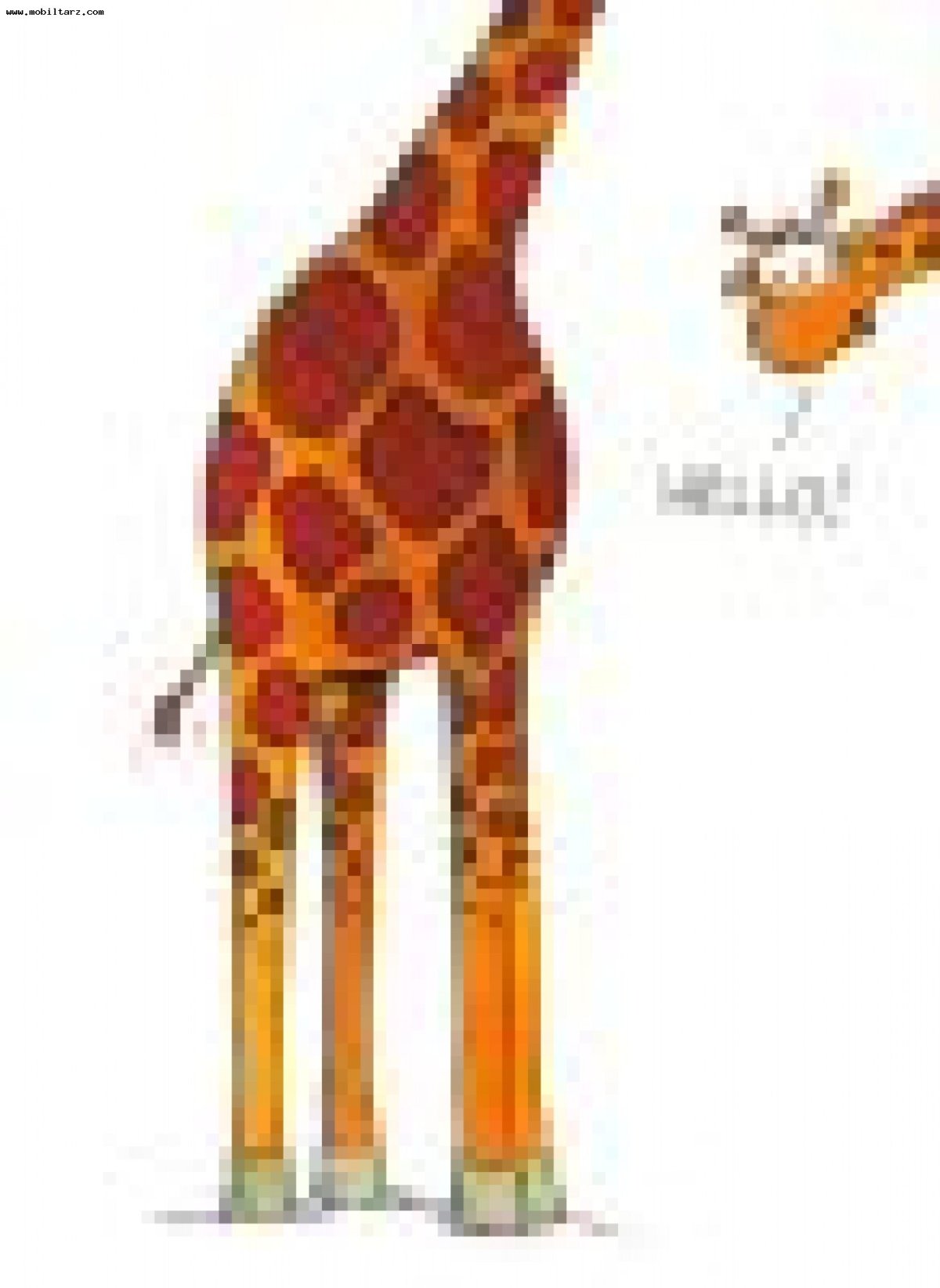 Tall short Flashcards