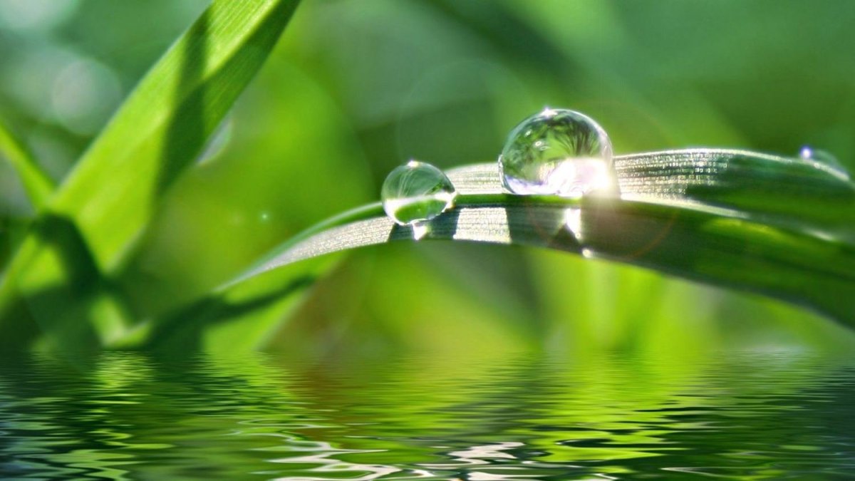 Зеленый фон успокаивающий