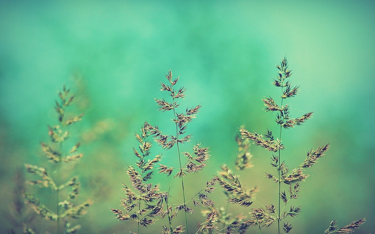 Фон для рабочего стола успокаивающий