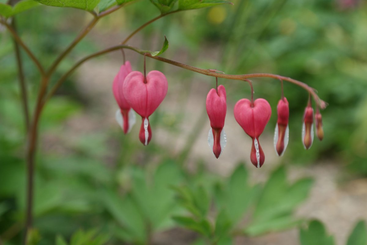 Разлука Разбитая сердце