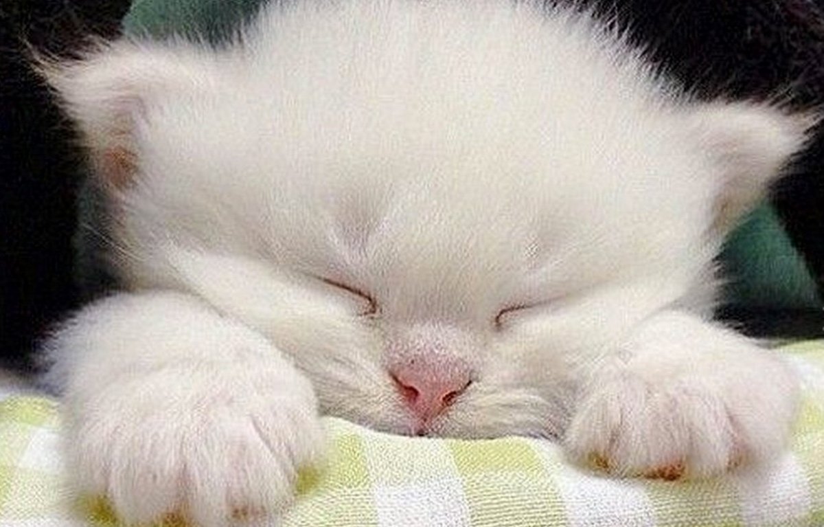 Пожелания спокойной ночи