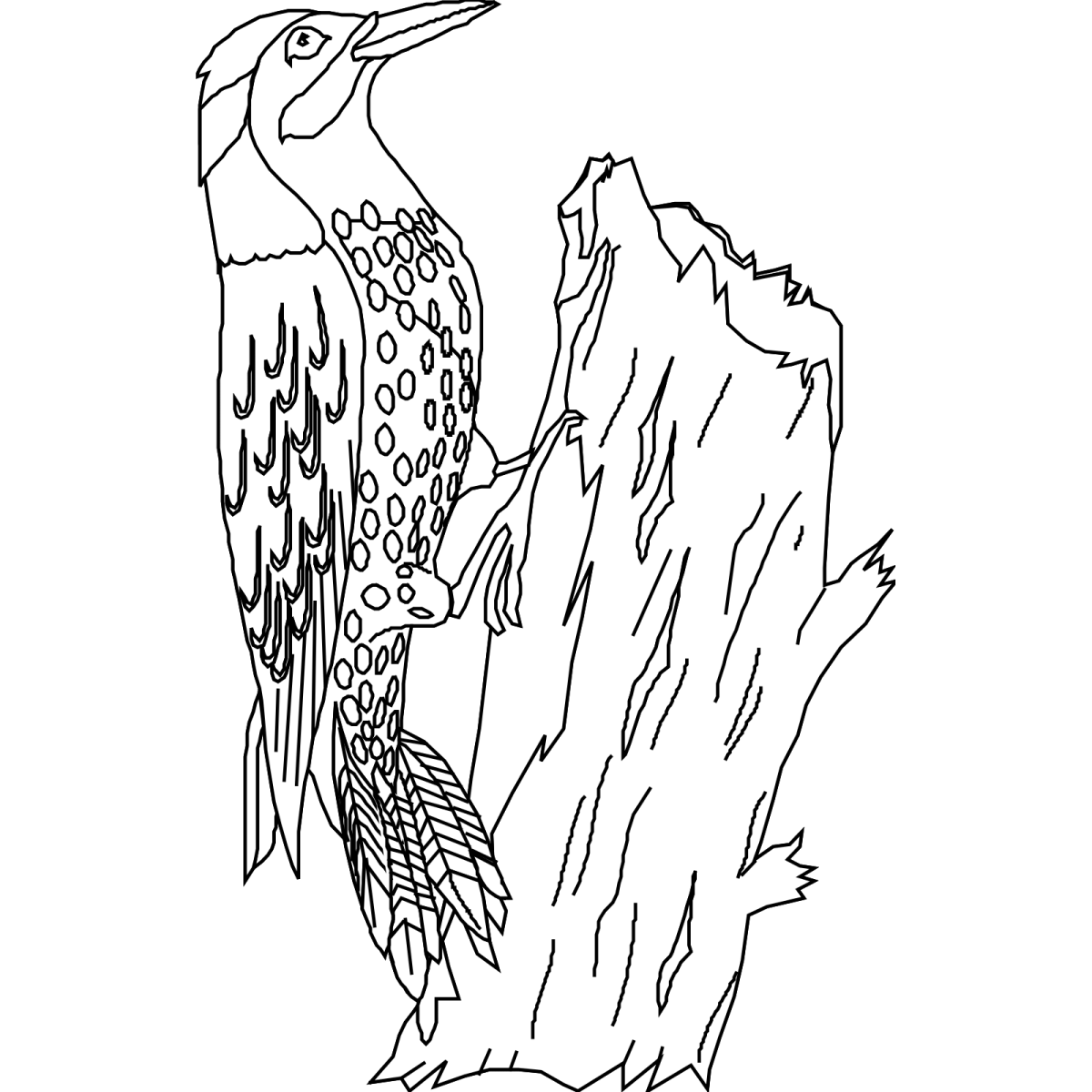 Дятел раскраска для детей