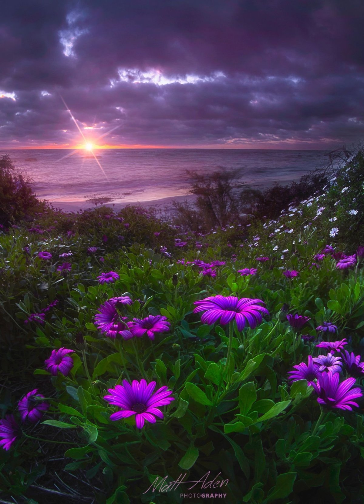 Vспокойнойночи с природой