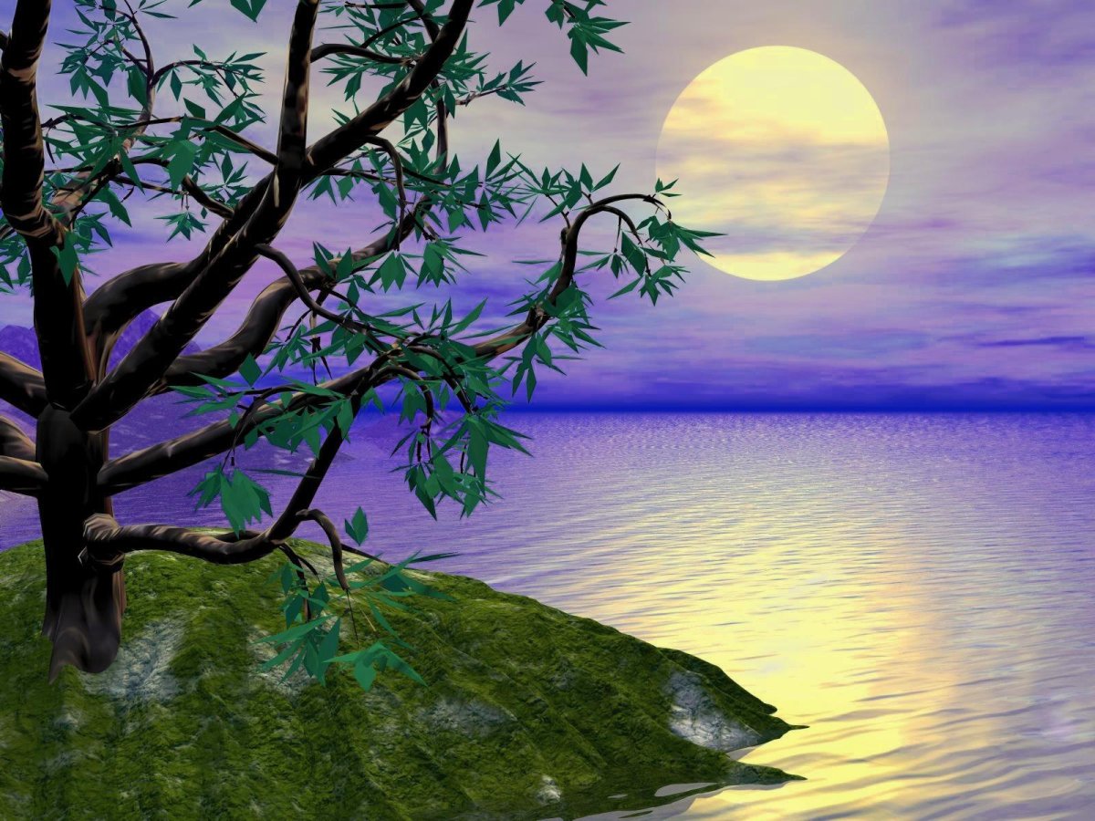 Цветы с пожеланием спокойной ночи