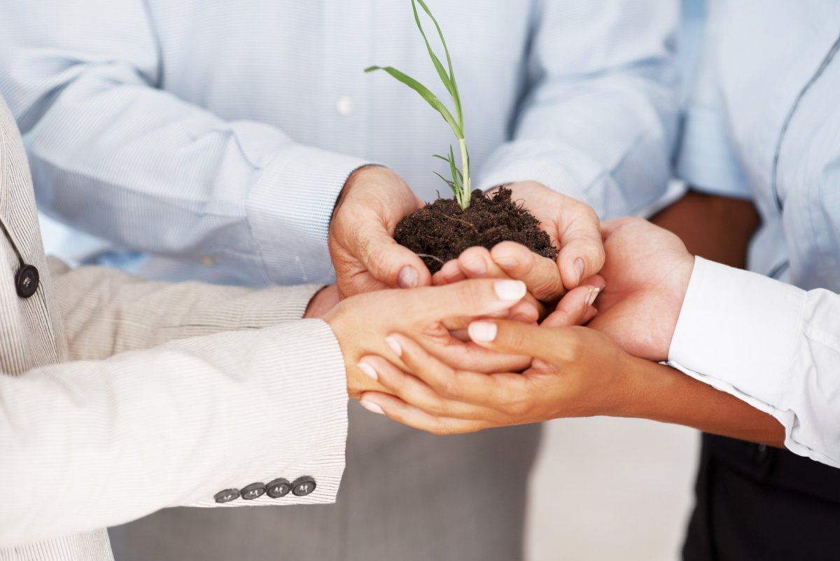 Ценности компании картинки