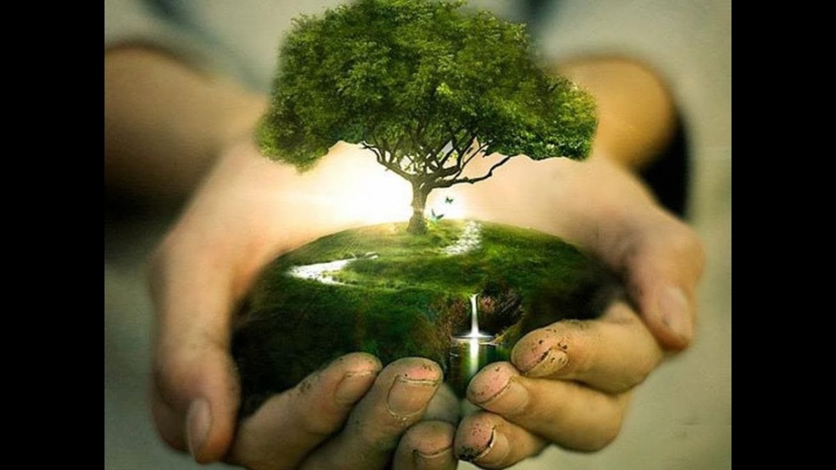 Дерево в руках