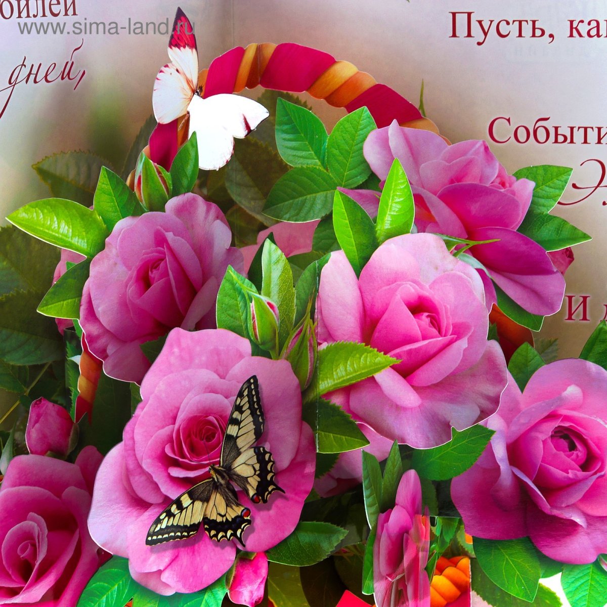 С днём рождения Галина