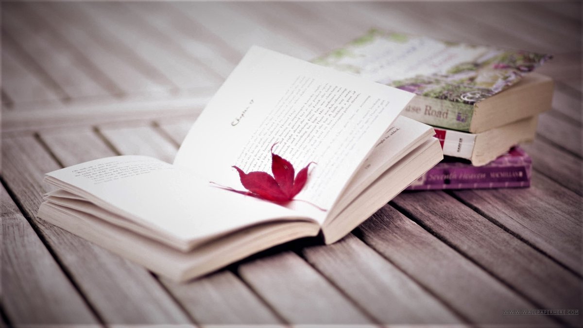 Книги на Светлом фоне