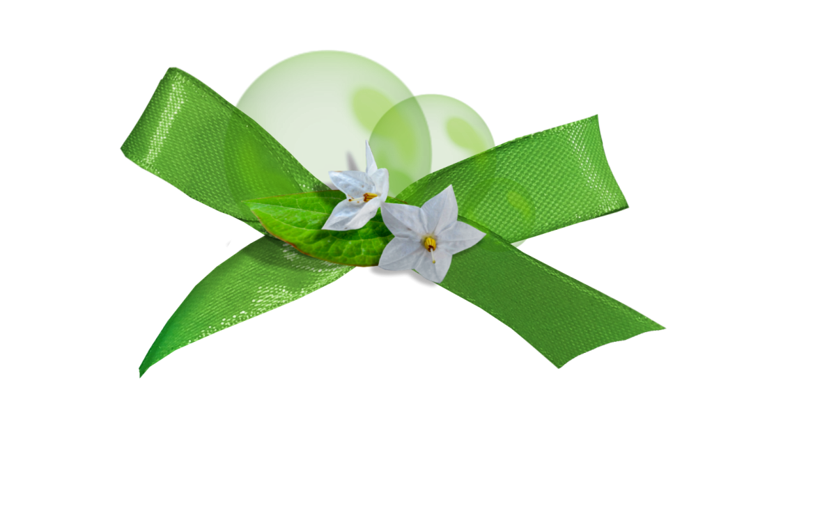 Бантик рисунок