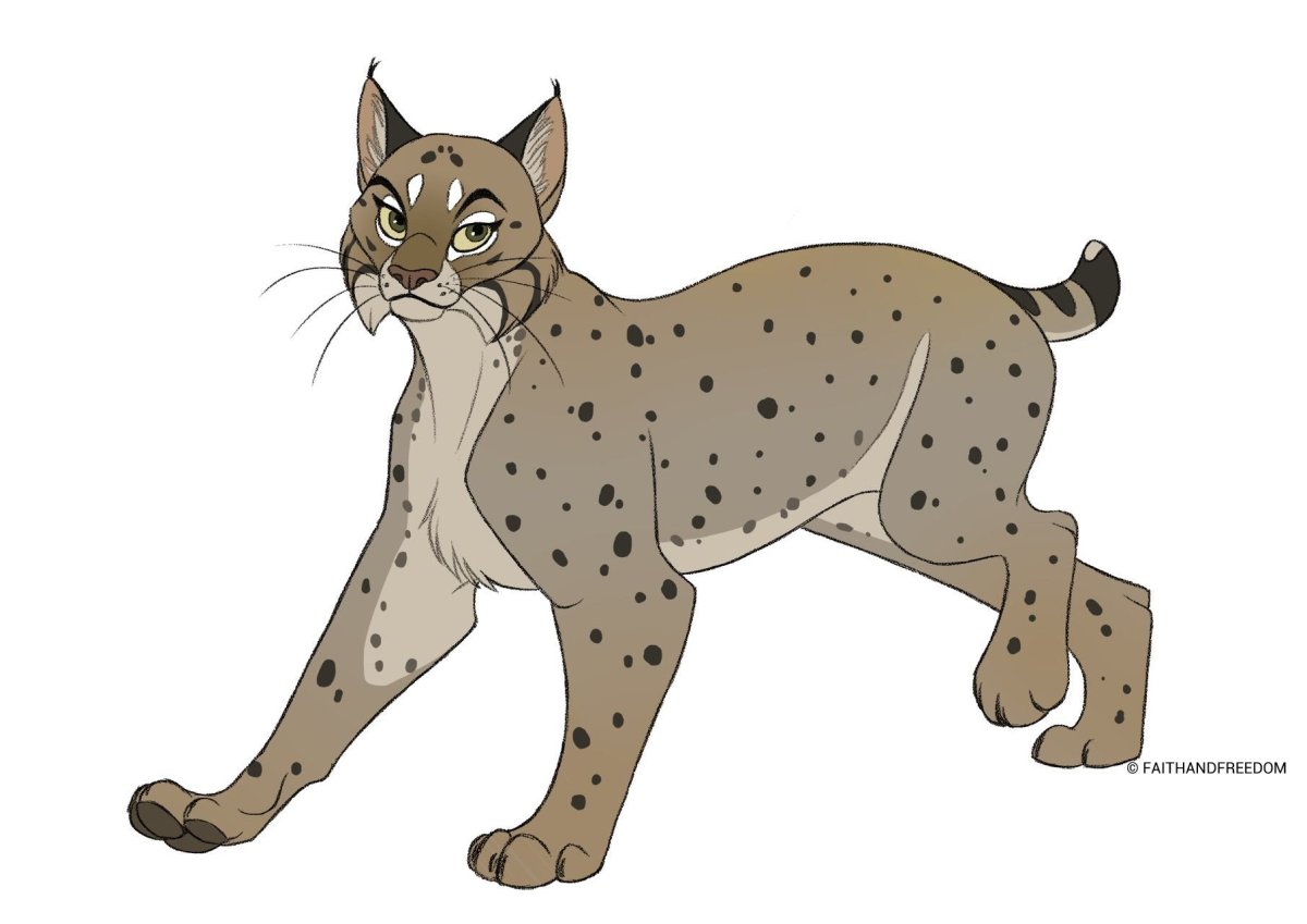 Рысь для детей