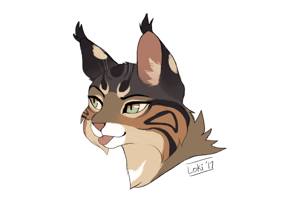 Коты Воители Рысь