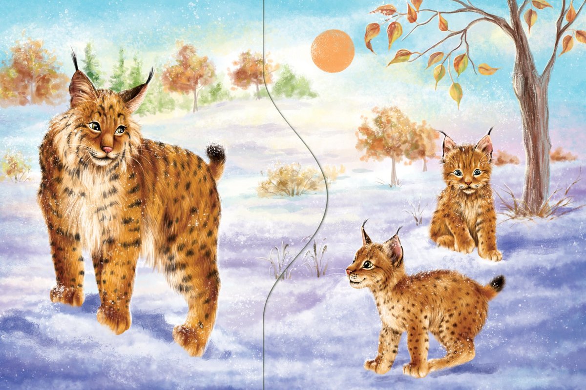 Изображение рыси для детей