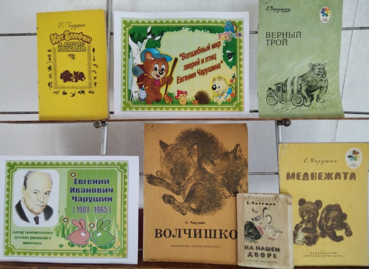 Книга мир животных