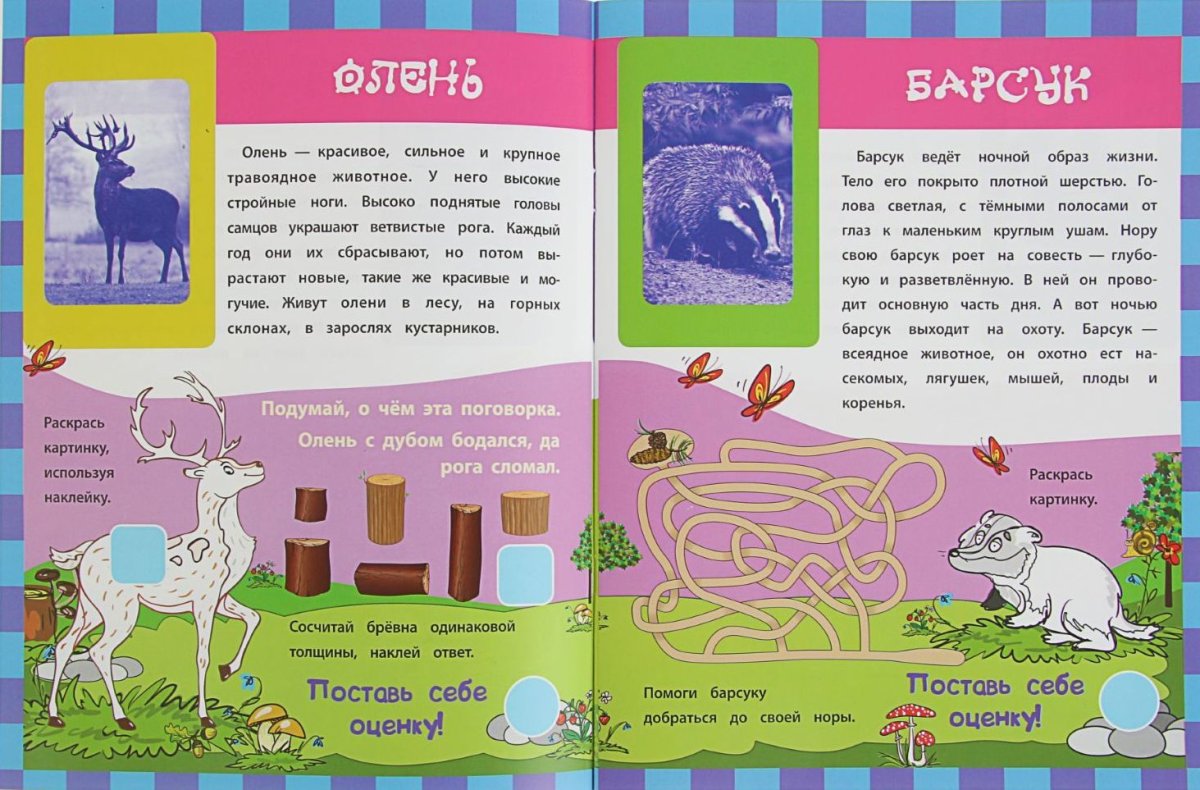 Мир животных в волшебных картинках книга