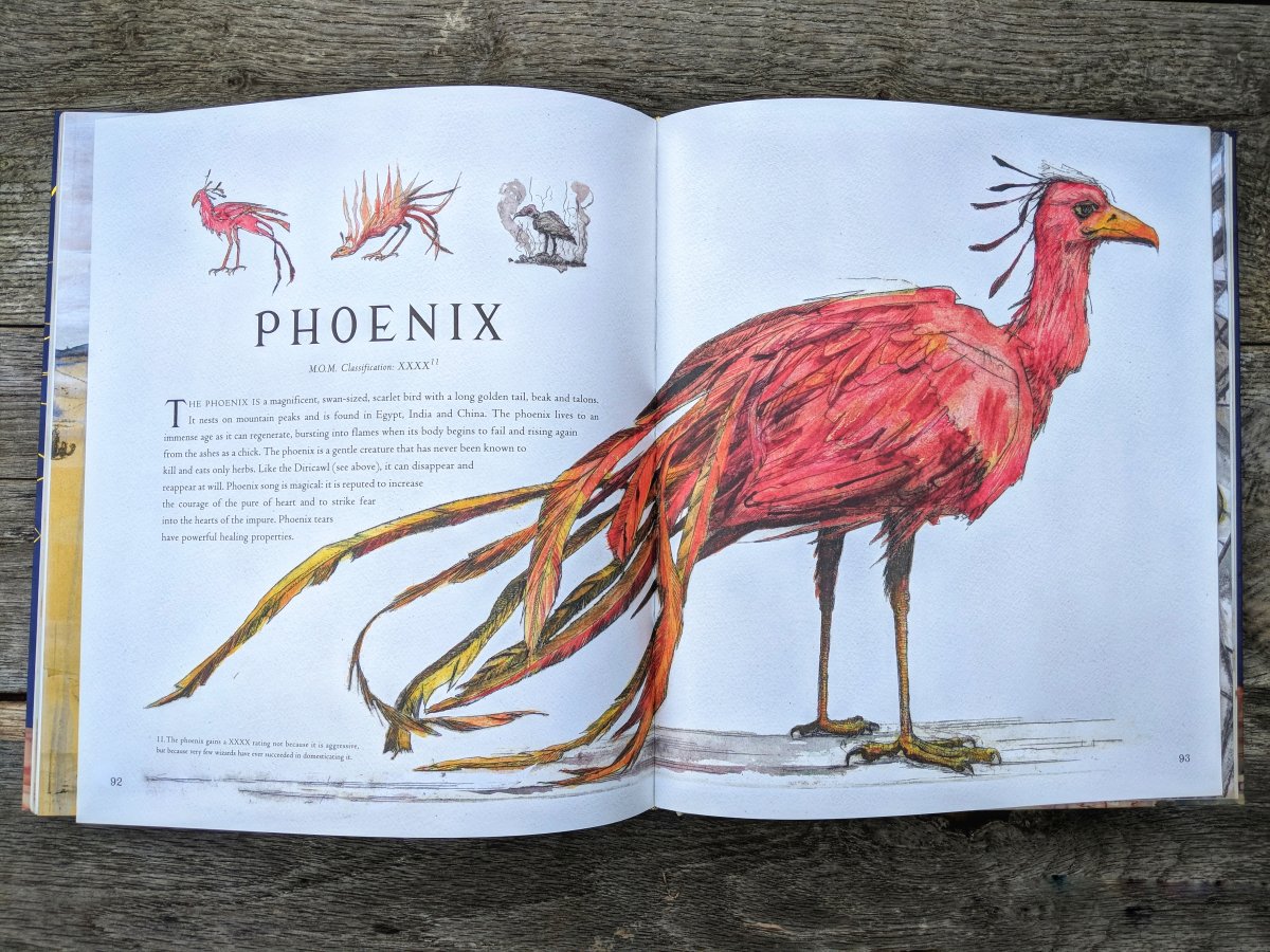 Ходилка бродилка для детей