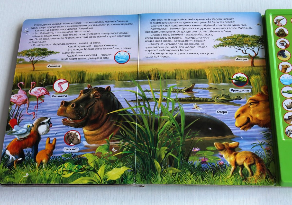 Животные мир Африки энциклопедия для детей