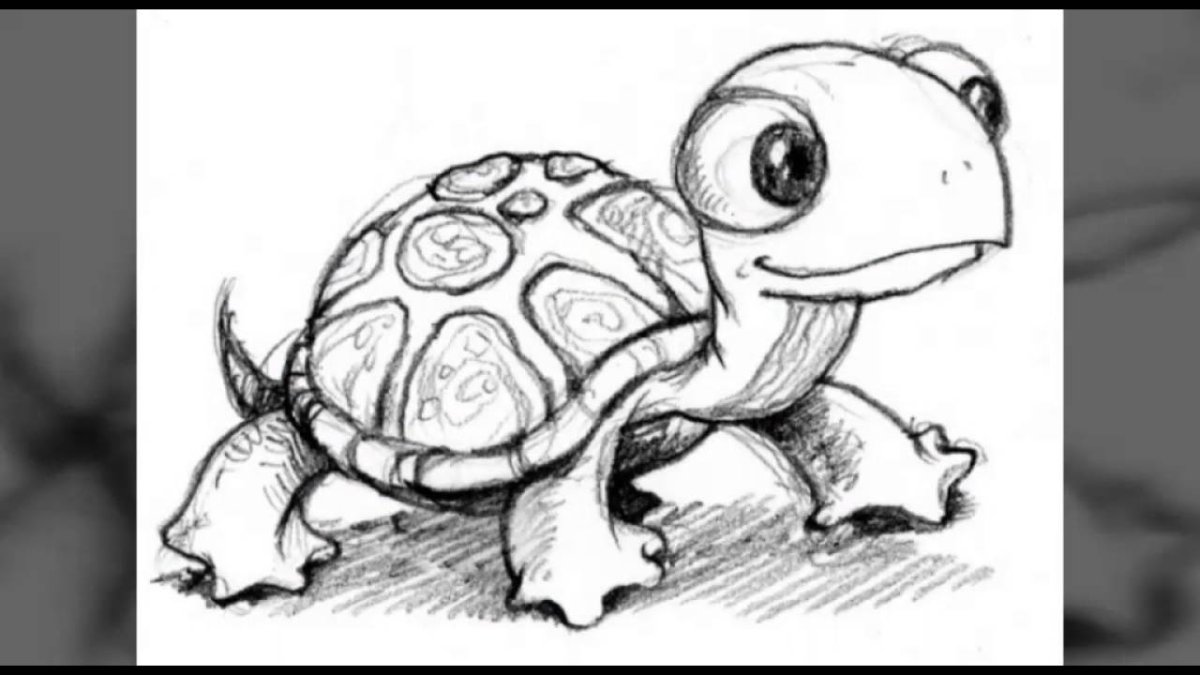 Черепаха карандашом