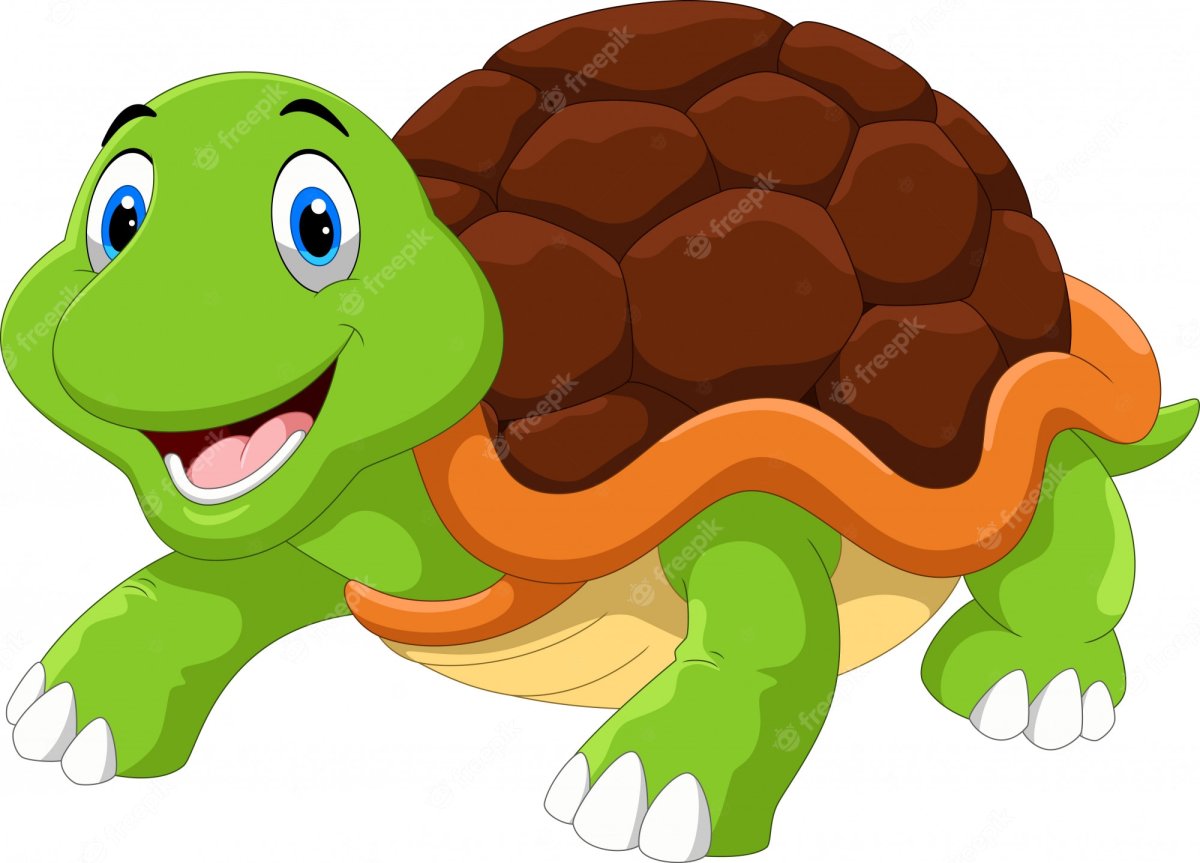 Мультяшная черепаха на белом фоне