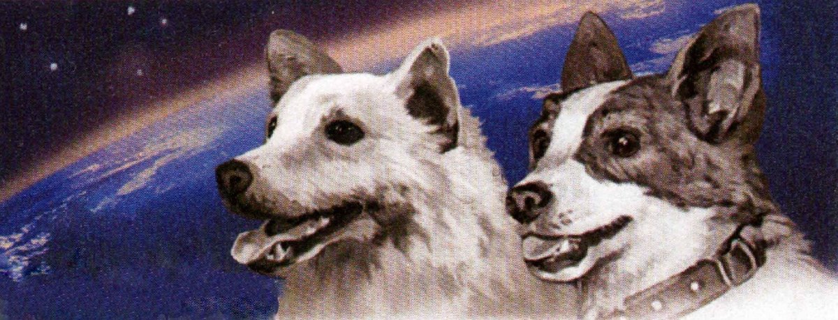 Полёт белки и стрелки в космос