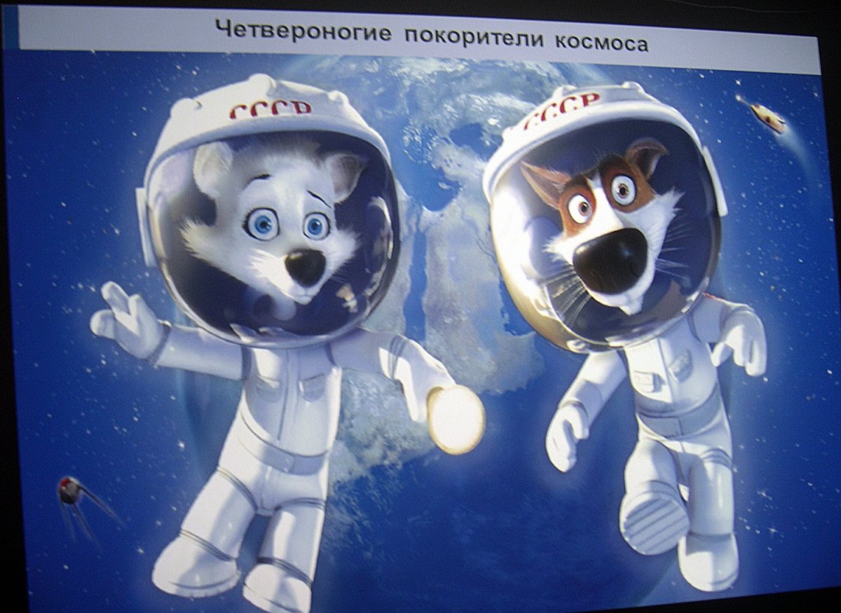 Первый полёт в космос белка и стрелка