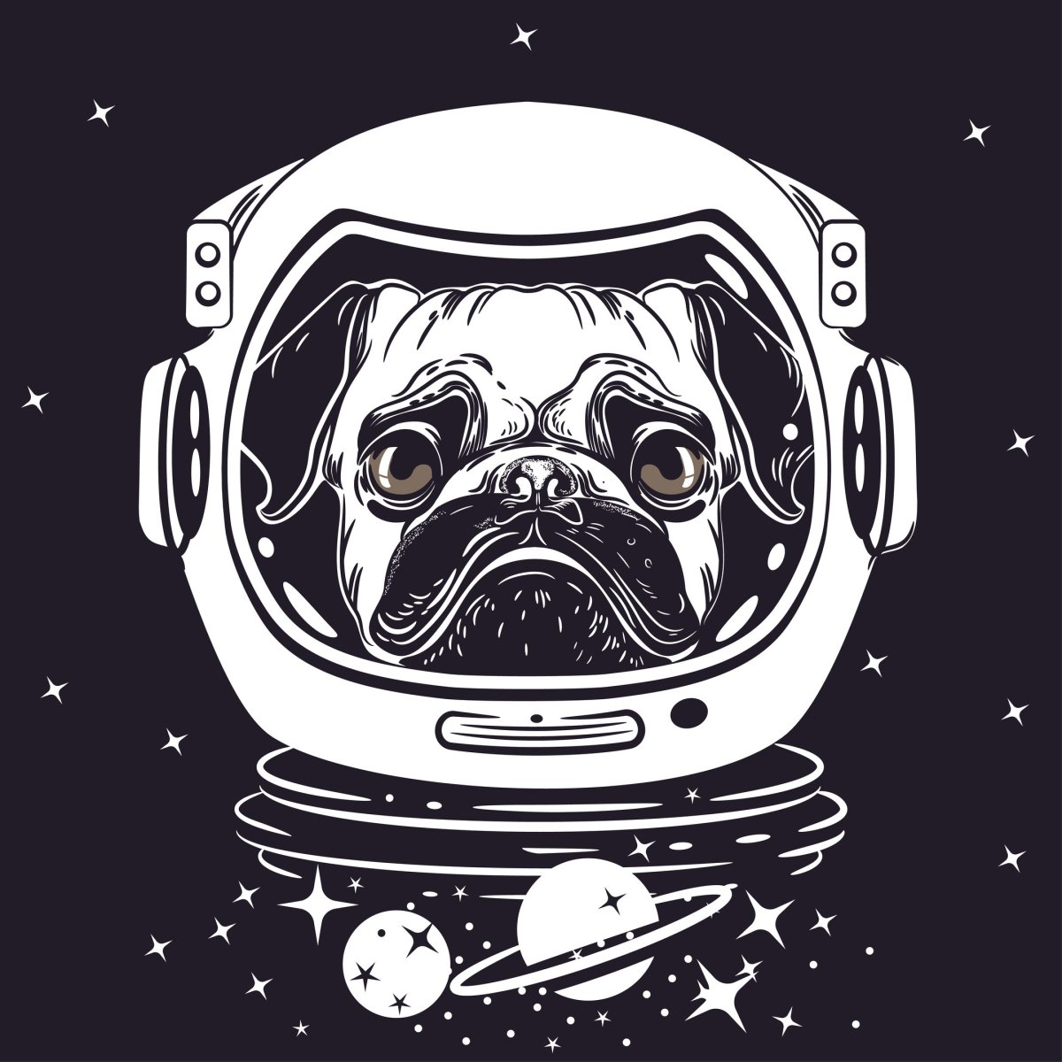 Собака в скафандре