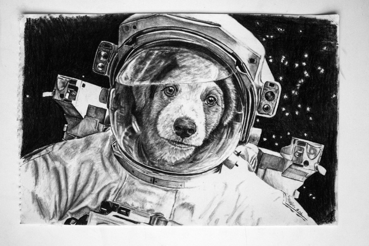 Собаки космонавты