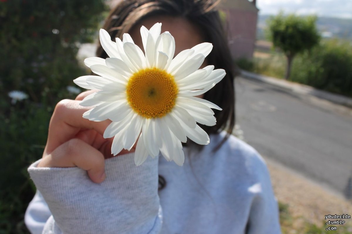 Девушка с ромашками на аву