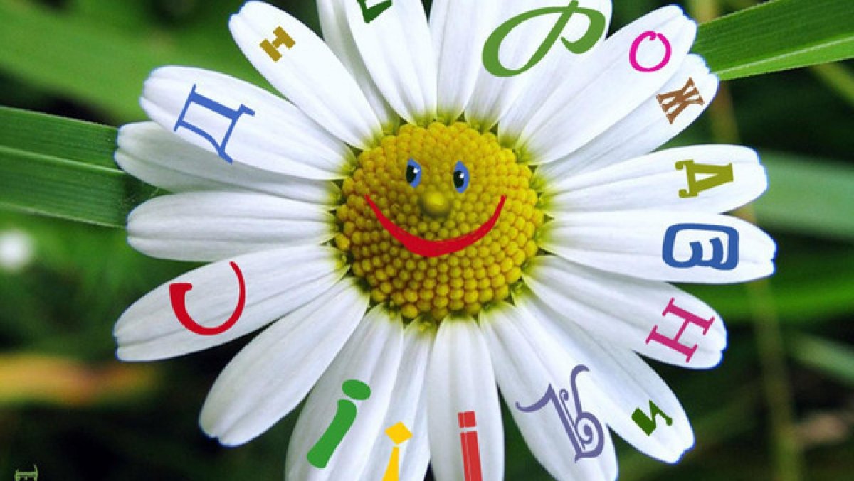 С днём рождения ромашки