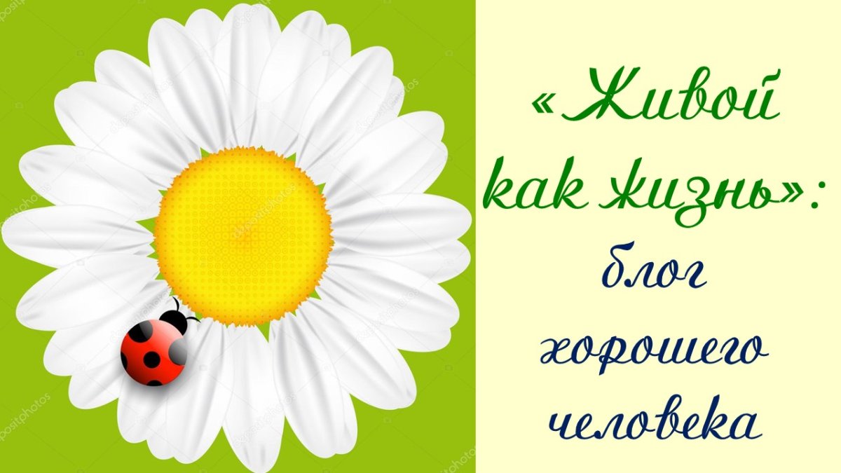 Ромашка для детей