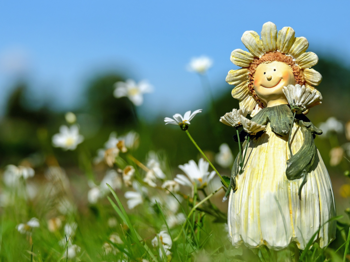 Позитивная Ромашка