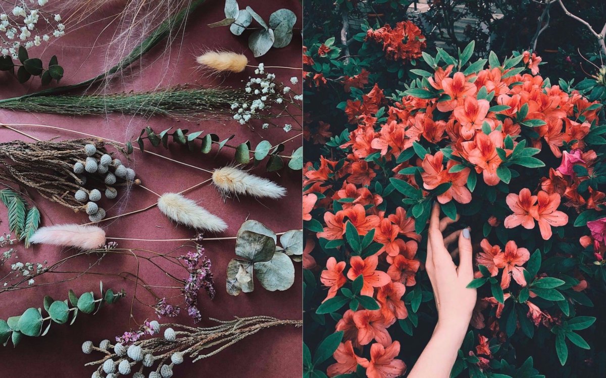 Эстетика из пинтереста