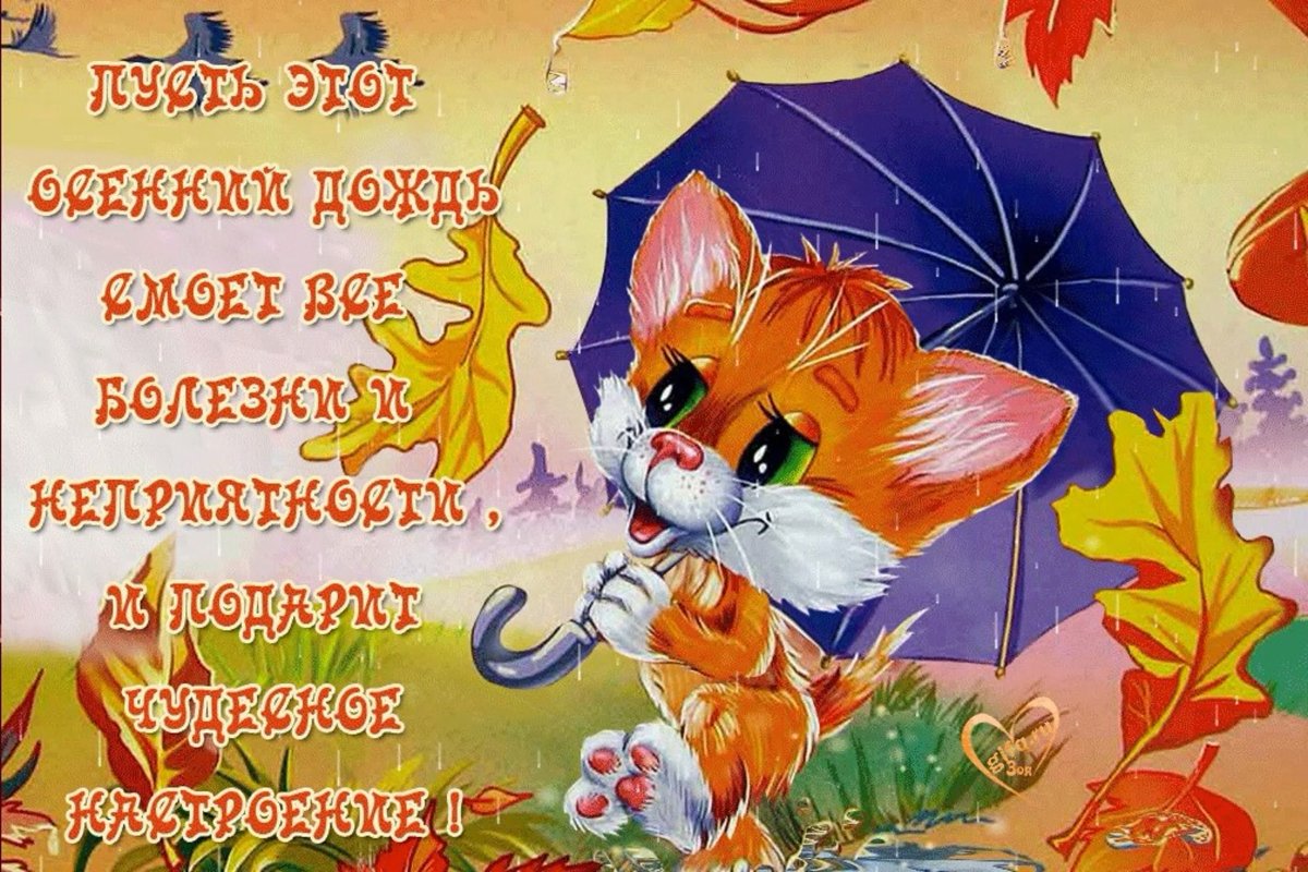 Отличного настроения в осенний дождливый день