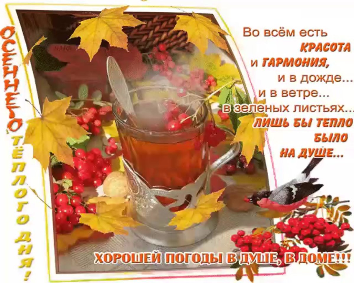 У природы нет плохой погоды