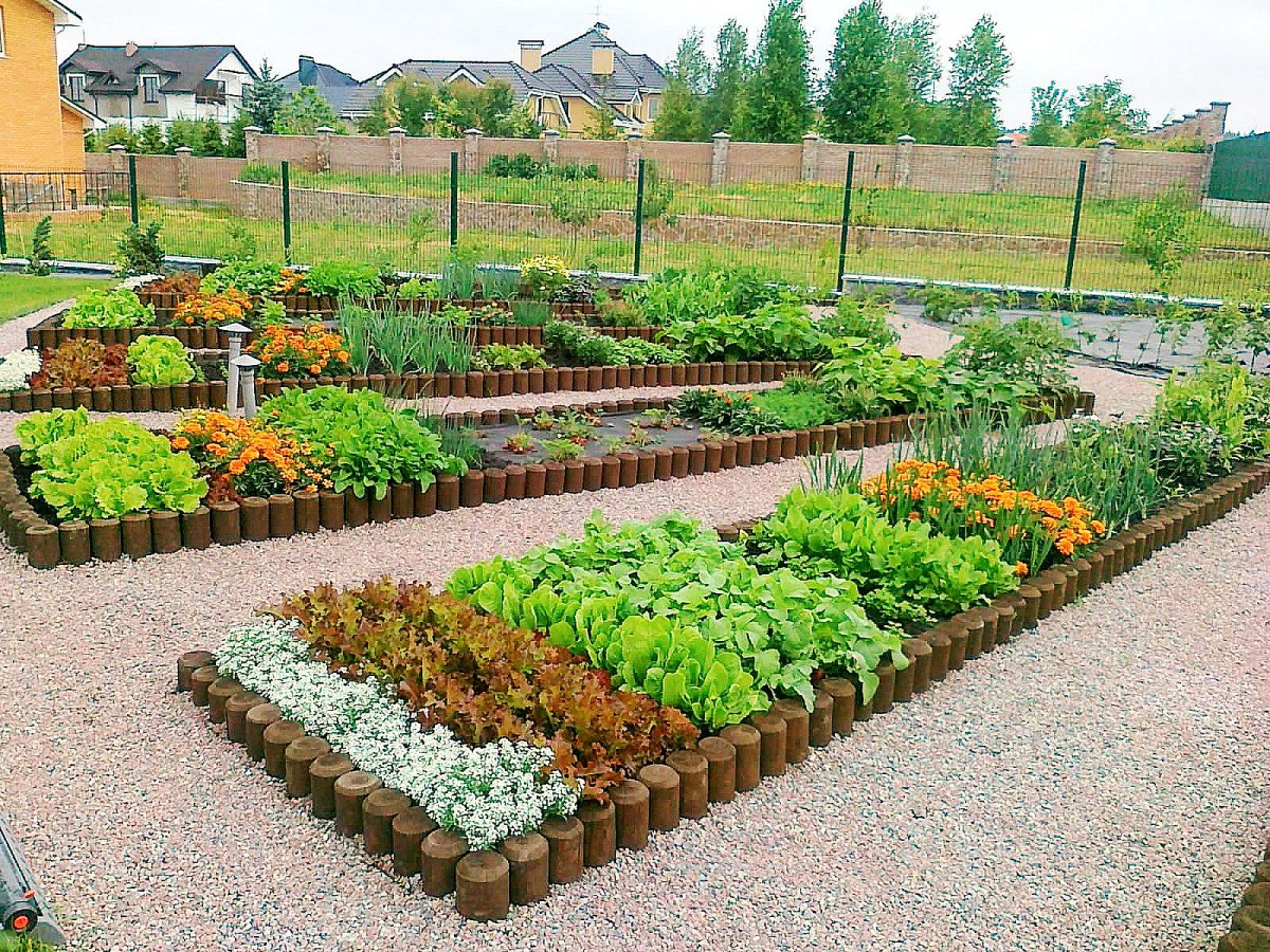 Красивые грядки по Митлайдеру