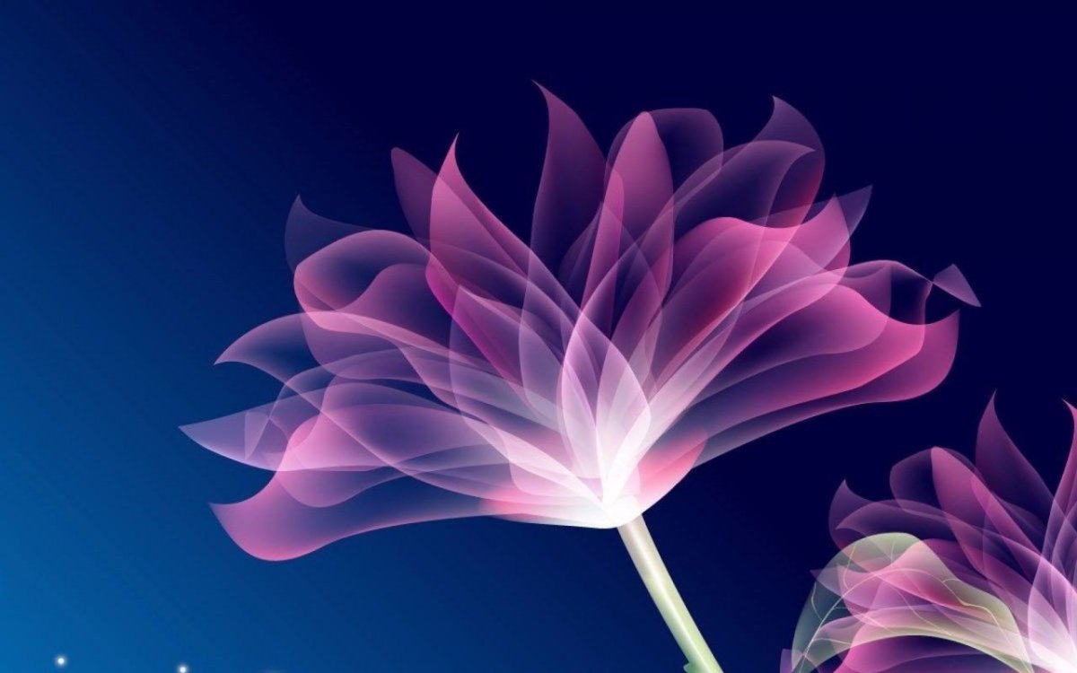 Весы Energy en-419g