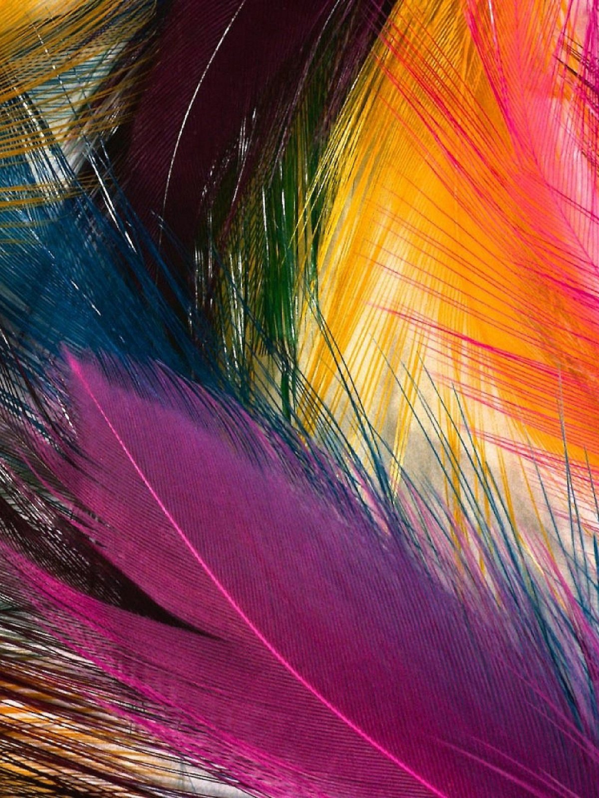 Яркие обои на телефон